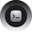 Студия web разработки